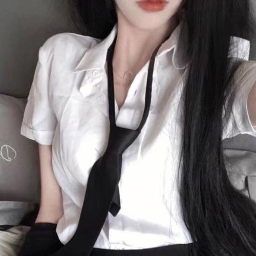 明月守护者