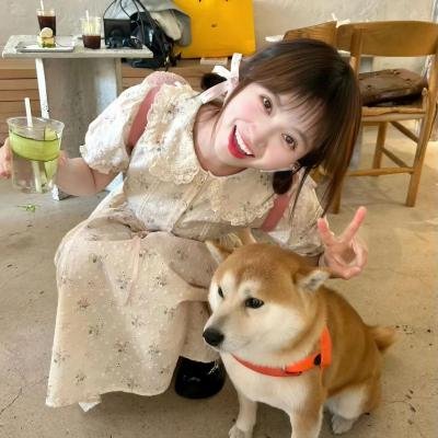 遇见你时风很甜